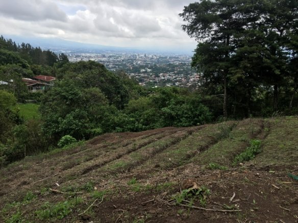Lot on the mountain, Escazú