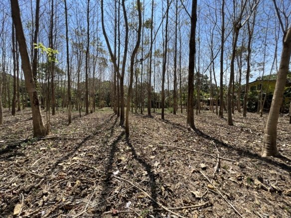 Lot in Montaña Grande, Puntarenas