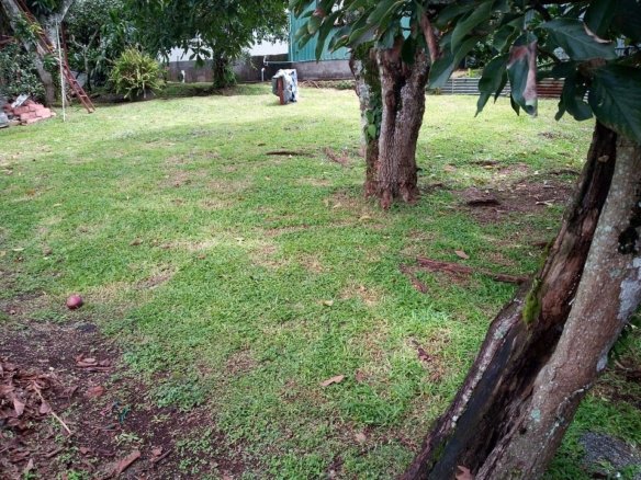 Lot for sale, Barbacoas, Puriscal