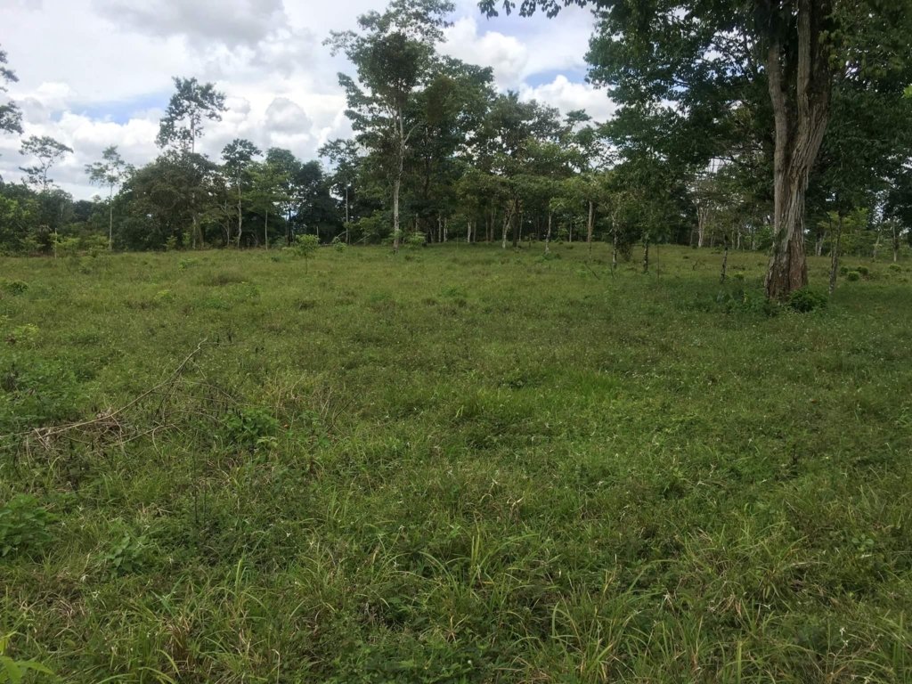 Working farms