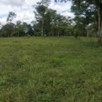 Buying land in Costa Rica as a foreigner: what to verify before you pay